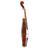 Violin by Stephen Cournoyer Windham