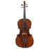 Viola by Gustav Naese, Dresden 1894- 16 1/8
