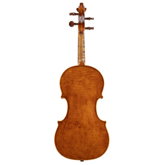 Violin By Julian Gleason