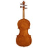 Violin By Julian Gleason