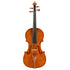 Violin By Julian Gleason