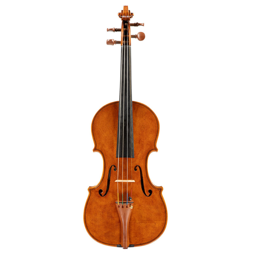Violin By Julian Gleason