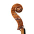 Violin By Julian Gleason