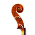 Violin By Stella Yoo, San Francisco 2025