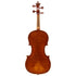 Violin by Annibale Fagnola, Torino 1905