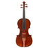 Violin by Annibale Fagnola, Torino 1905