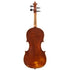 Violin by Antonio Sgarbi, Palermo 1909