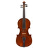 Violin by Antonio Sgarbi, Palermo 1909