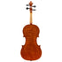 Violin by Caterina Rota Kim #2, Cremona 2025