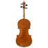Violin by Charles Jean-Baptiste Collin-Mézin père, 1879
