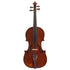 Violin by Giuseppe Pedrazzini, Milano 1950