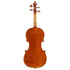 Violin by Jerome Thibouville-Lamy (JTL)