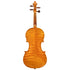 Paulus Saranszky Violin 4/4