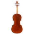 Violin by Tae Yeong Kim, Seoul 2025