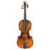Violin labeled Leandro Bisiach- Probably Eastern Europe circa 1900