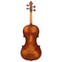 Ming Jiang Zhu 909 Violin 4/4
