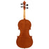 Violin by Wanna Zambelli, Cremona 2012 