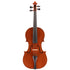 Violin by Wanna Zambelli, Cremona 2012 