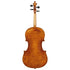 Viola by Wojciech Topas Zakopane 2024 - 16 1/4
