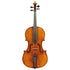 Viola by Wojciech Topas Zakopane 2024 - 16 1/4