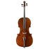 Y Chen - Grofriller Model 737 Cello 4/4