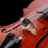 Spector Violin Mute