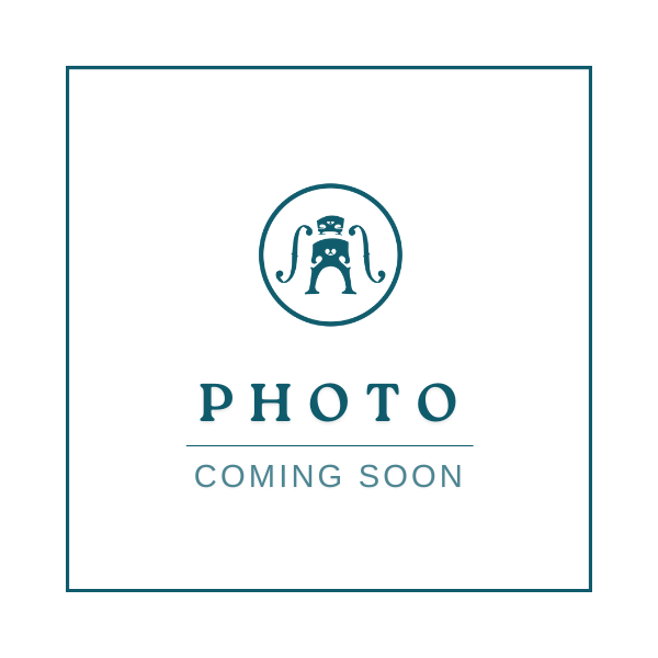 Viola by Ian McWilliams