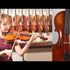 Carlos Rizzo Violin Outfit (1/16 - 4/4)