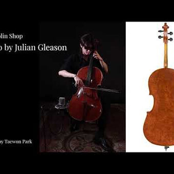 Cello By Julian Gleason